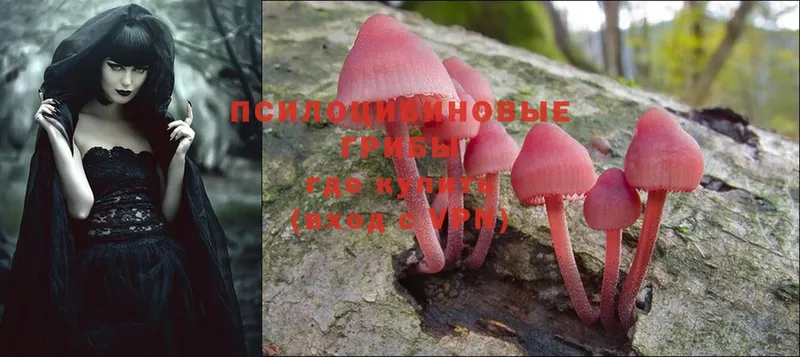 Псилоцибиновые грибы Magic Shrooms  Мыски 